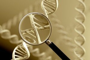 Genealogical DNA