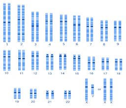 DNA for Genealogy | Price Genealogy