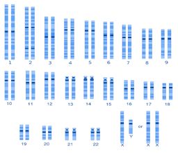 DNA for Genealogy | Price Genealogy