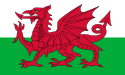 How to Search Wales Genealogy Records featured by top professional genealogists, Price Genealogy | Wales Genealogy by popular online genealogist Price Genealogy: image the Welsh flag. 