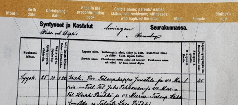 Finland Genealogy by popular US online genealogists, Price Genealogy: image of a Finnish birth record page. 