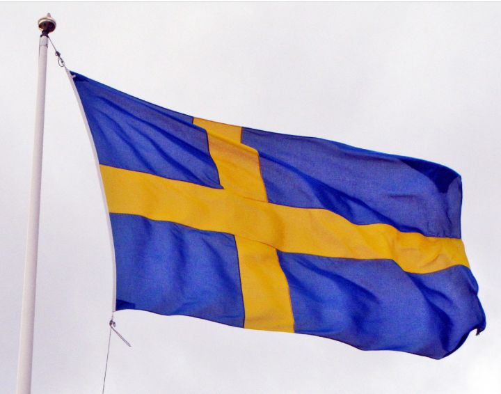 Swedish Genealogy by popular US online genealogists, Price Genealogy: image of the Swedish flag. 