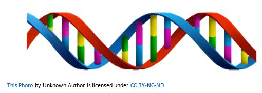 DNA Test Results by popular US online genealogists, Price Genealogy: image of a DNA helix. 