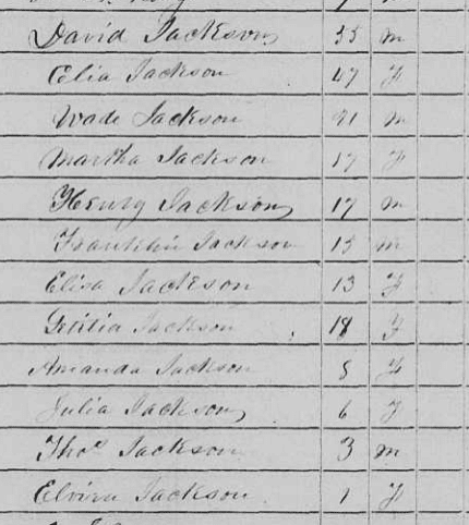 African American Genealogy by popular US online genealogists, Price Genealogy: image of a census record. 