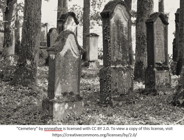 Cemetery Records by popular US online genealogists, Price Genealogy: image of gravestones in between trees. 