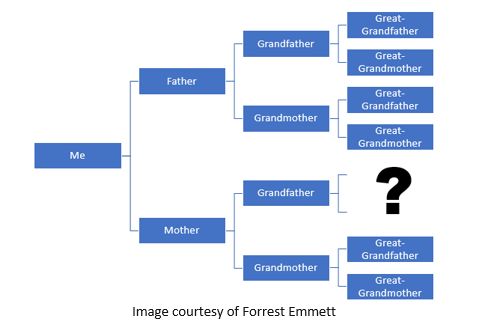 Genetic Genealogy by popular US online genealogists, Price Genealogy: image of a genealogy chart. 