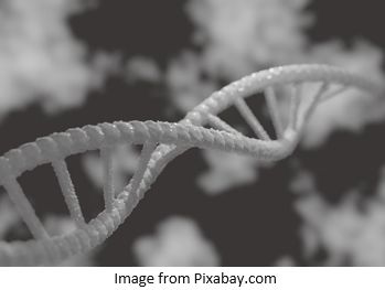 Genetic Genealogy by popular US online genealogists, Price Genealogy: image of a DNA helix. 