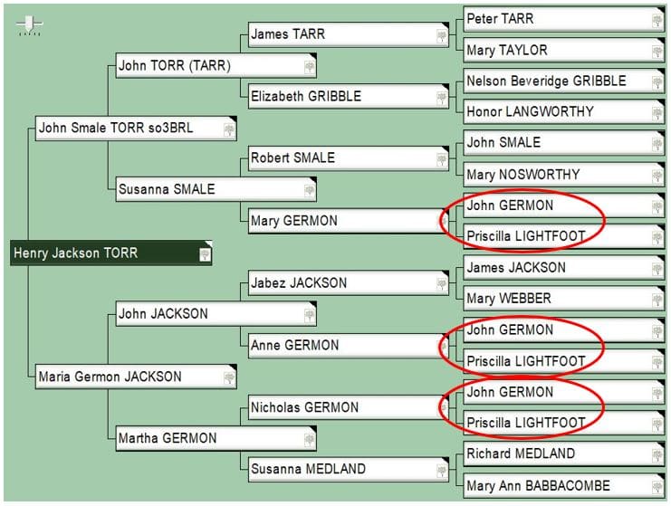 DNA Research by popular US online genealogists, Price Genealogy: digital image of a family pedigree chart. 