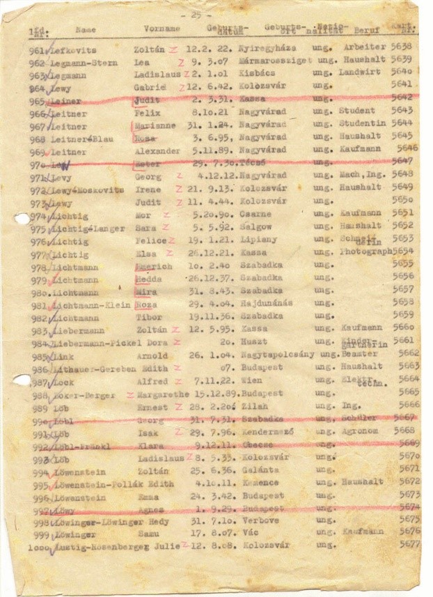 Immigrant Research by popular US online genealogists, Price Genealogy: image of a immigration log. 