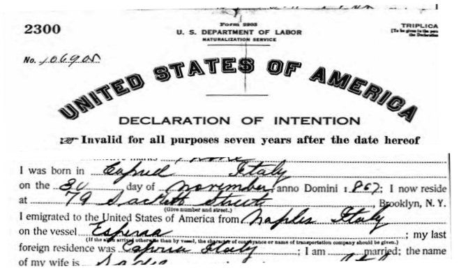 Italian Ancestors by popular US online genealogists, Price Genealogy: image of a United States of America declaration of intention. 