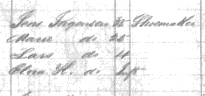 Utah Pioneer Day by popular US online genealogists, Price Genealogy: image of signatures. 