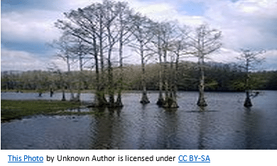 South Central United States Genealogy Research tips featured by top online genealogists, Price Gen